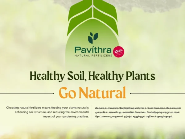 Pavithra's Golden Fertilizer