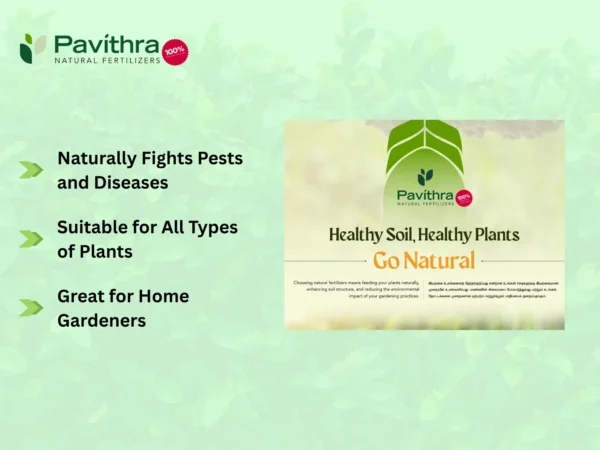 Pavithra's Golden Fertilizer - Image 10